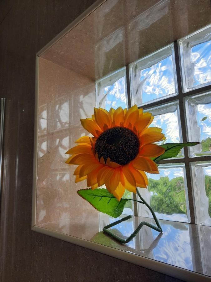 Sunflower Sea View With Magnificent Terrace In Serra Da Pescaria, Nazare - Portugal Dış mekan fotoğraf